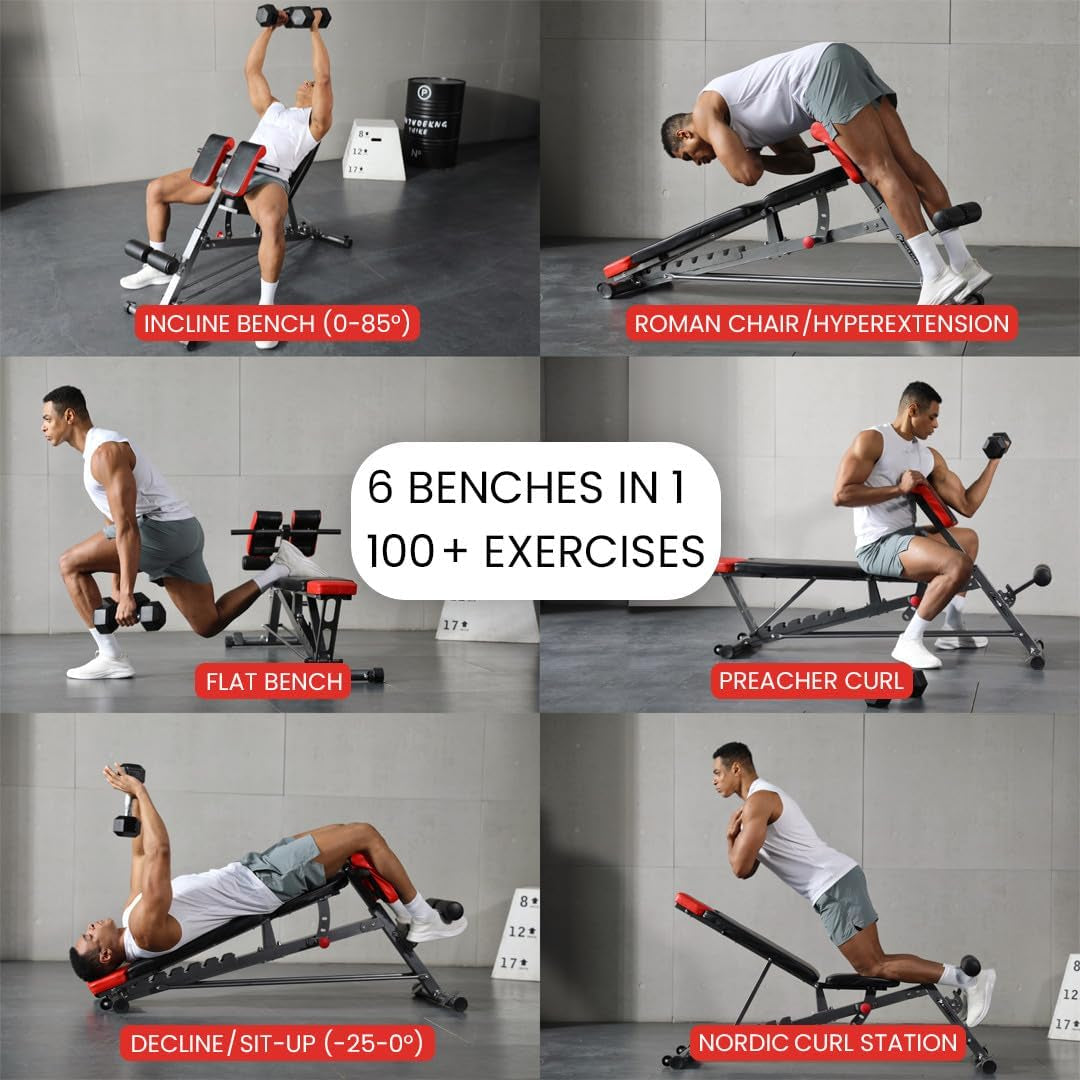 Finer Form Multi-Functional Adjustable FID Weight Bench and Roman Chair