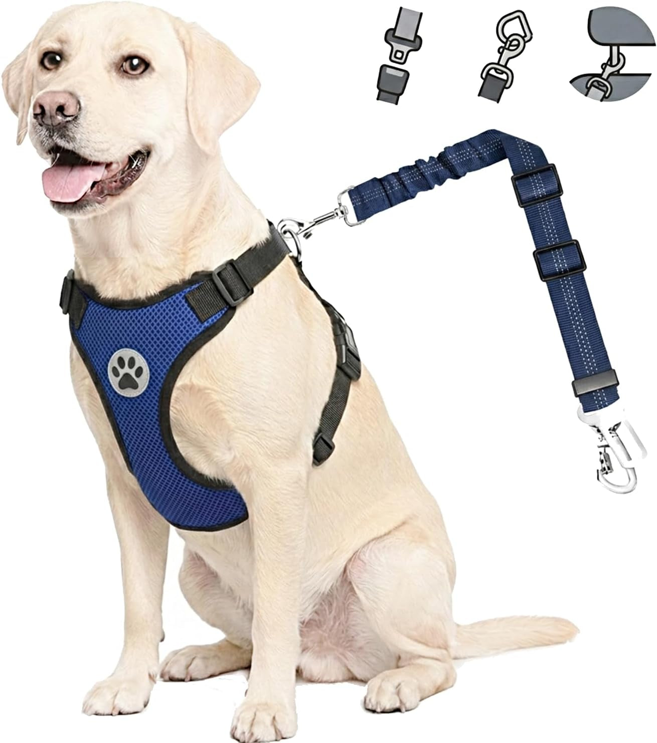 Dog Car Harness Seat Belt, Harness & Seatbelt with 2 in 1 Buckle